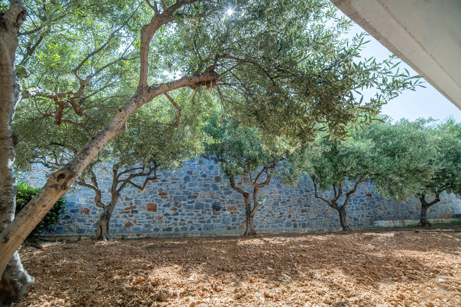 Semiramis Village Hotel